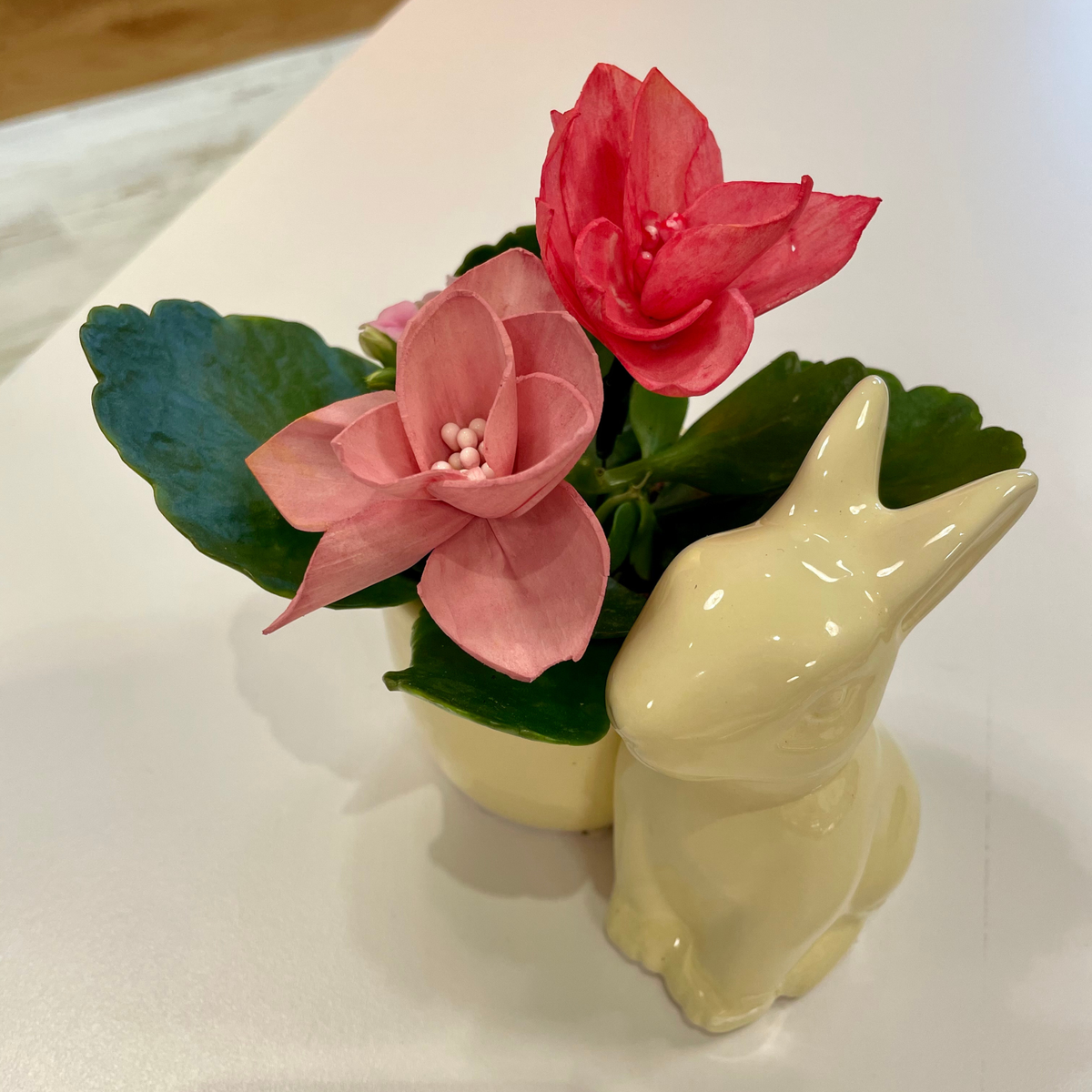 Wooden flowers